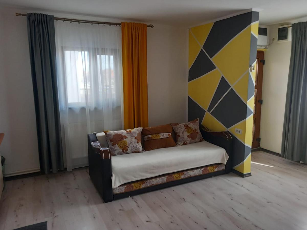 Appartement Casa Davison à Târgu Jiu Extérieur photo