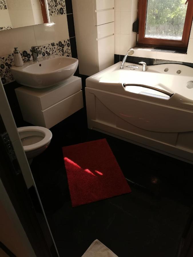 Appartement Casa Davison à Târgu Jiu Extérieur photo